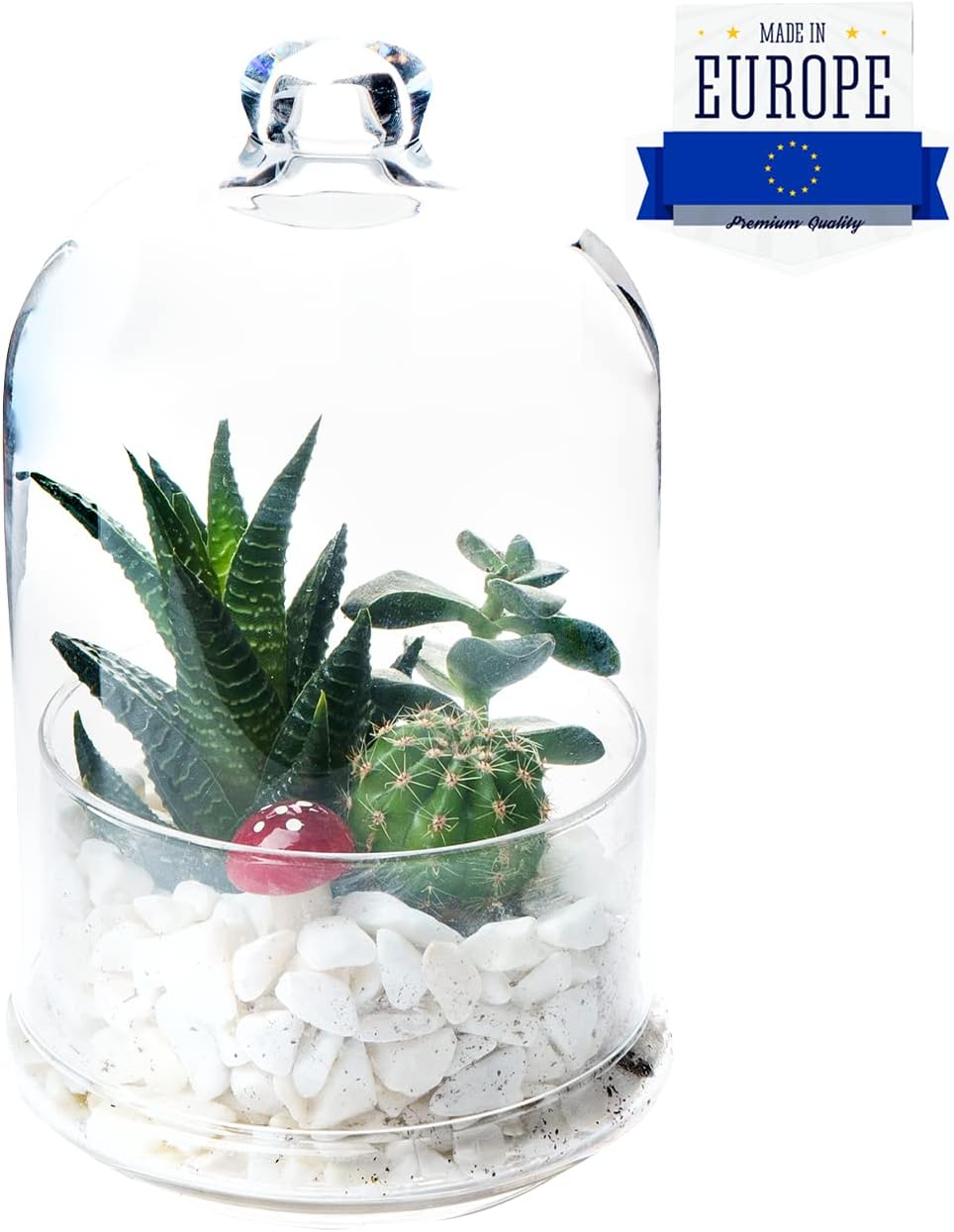 برطمان Buybox Terrarium الزجاجي بغطاء للنباتات ، حاوية زجاجية ممتازة ، تخزين الطعام ، حارس ، موفر