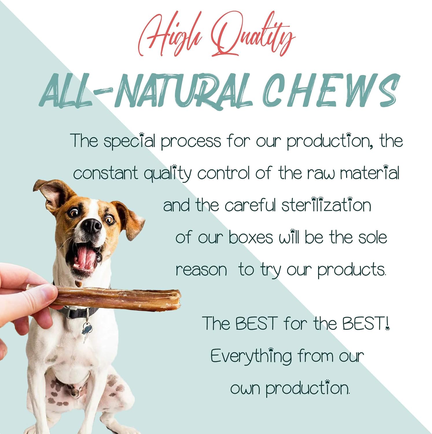 6" Natural Bully Stick Dog Treats - Healthful Dog Chews (Large 5 Count)